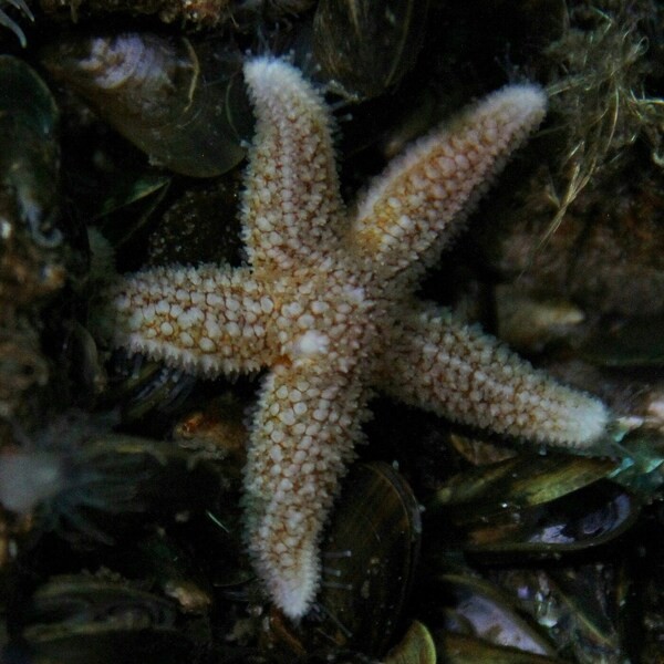 Games like From the Depths