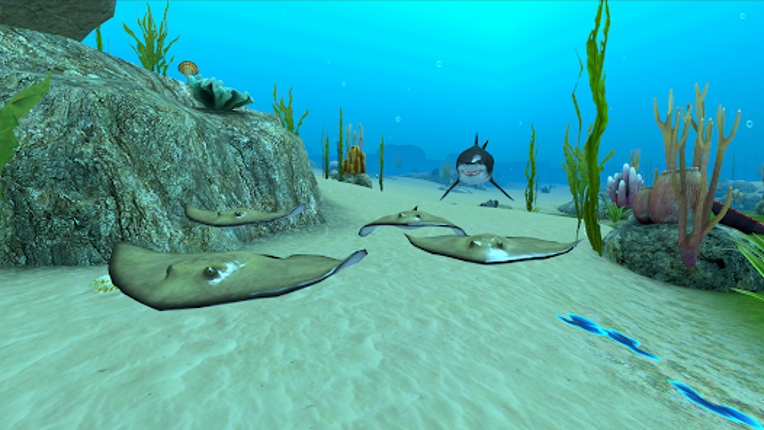Shark Fish Simulator screenshot