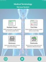 Nervous System Medical Terms Image