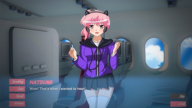 Pleasure Airlines screenshot