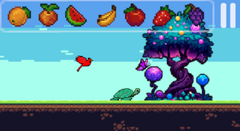 Turtle Journey Image