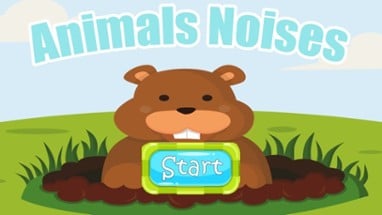 Animals Noises For Kids With Flashcards Image