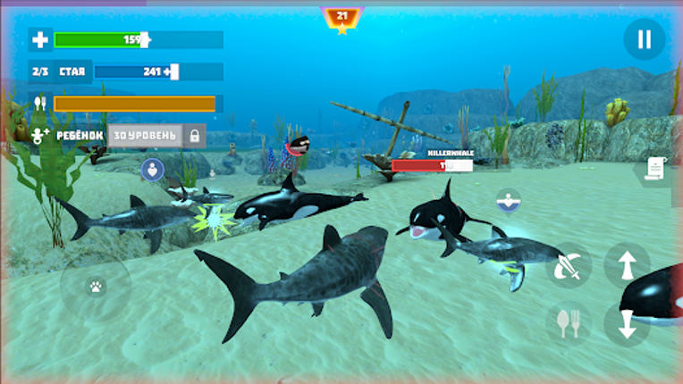 Shark Fish Simulator Image