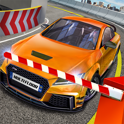 Multi Floor Garage Driver Image