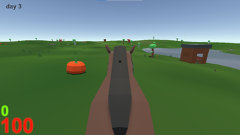 ZORP Image