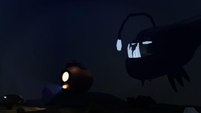 Immersion Image