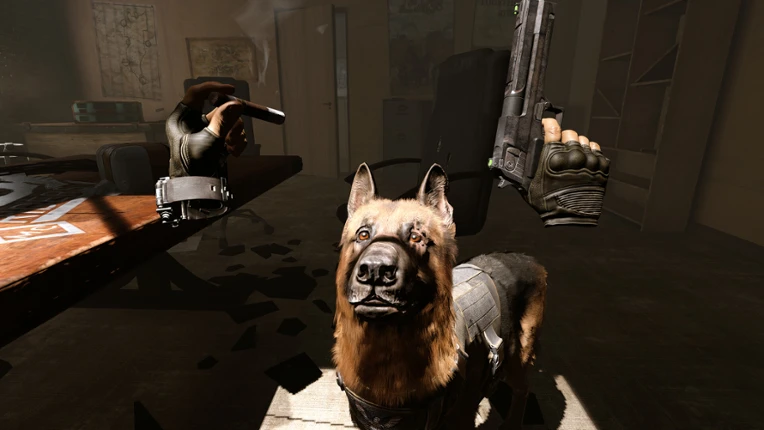 Arizona Sunshine® VR 2 screenshot