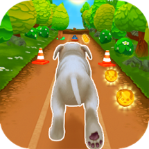 Pet Run - Puppy Dog Game Image