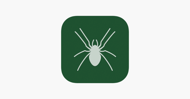 Solitaire / Spider Image