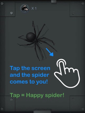 Spider Pet - Creepy Widow Image