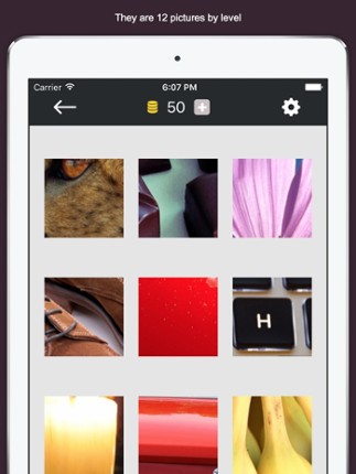 Zoom Quiz - Guess what is the picture, new fun puzzle! screenshot
