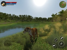 Asian Tiger Survival Simulator Image