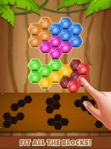 Hexa puzzle : Block blast Image