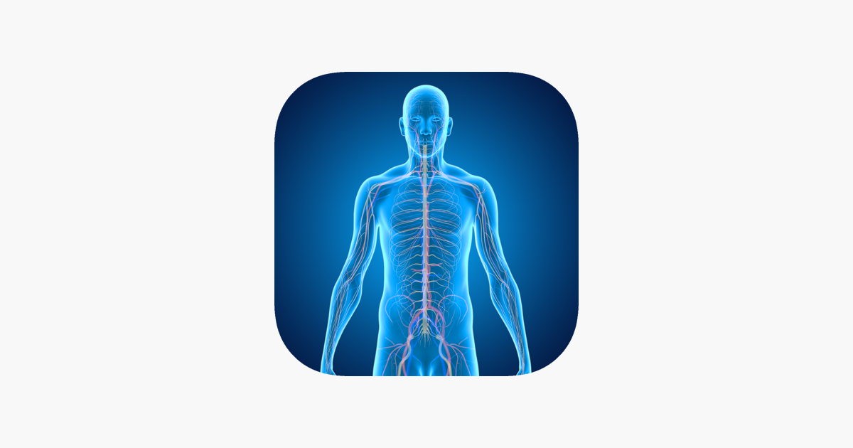 Games like Nervous System Medical Terms