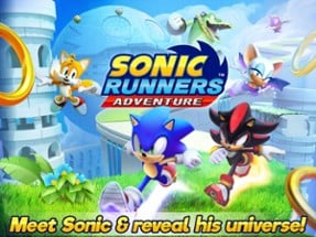 Sonic Runners Adventure Image