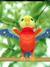 Talking Polly the Parrot HD Free Image