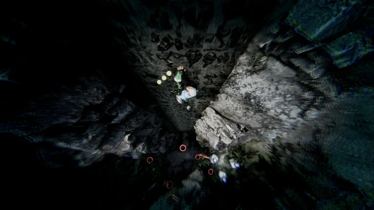 Vision Quest: A New Ascent Image