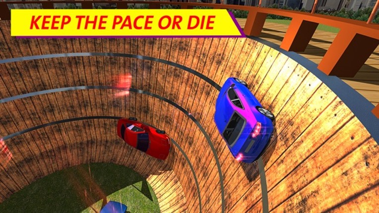 Well of Death Car Simulator screenshot
