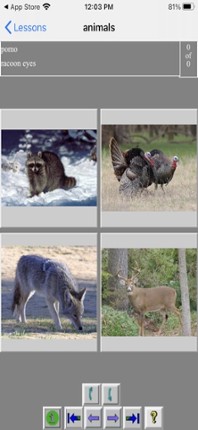 Acorns Gallery Image