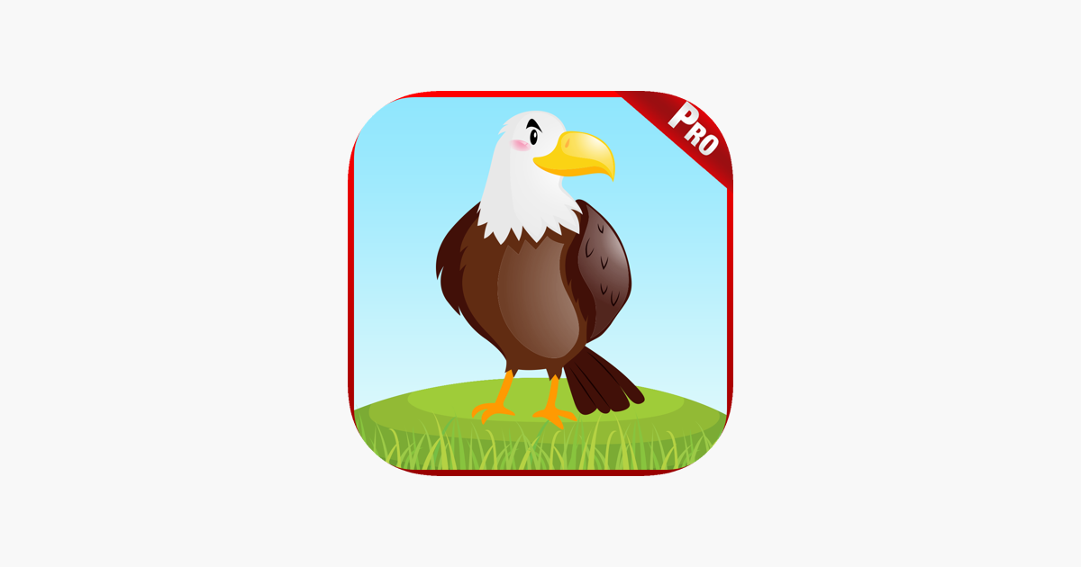 Games like Birds Animal Sounds Kids Games