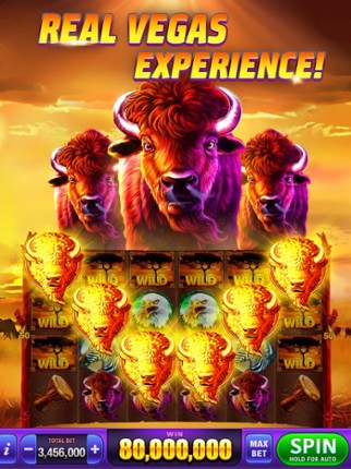 DoubleHit™ Casino Slots Games screenshot