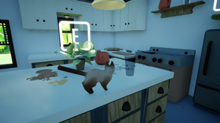 Cat Smash Image