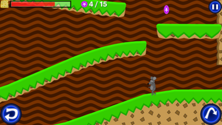Cheese Race Image