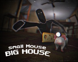 Small Mouse Big House Image