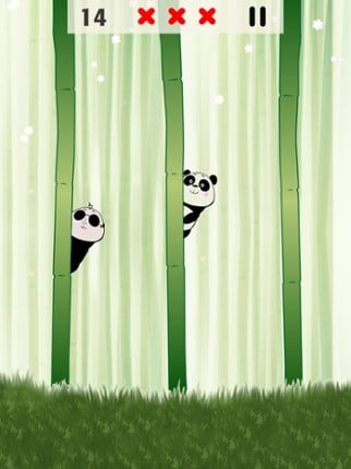 Whack-a-Panda screenshot