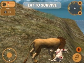 Wild Lion Simulator Attack 3D Image