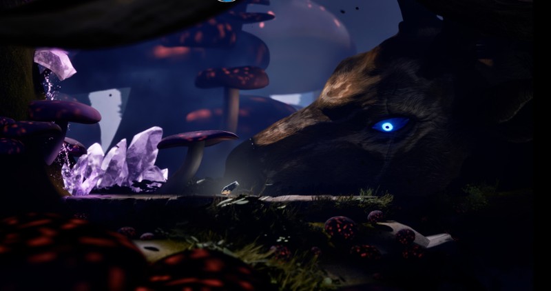 About Cannons & Sparrows screenshot