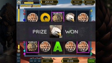 Casino Box Image