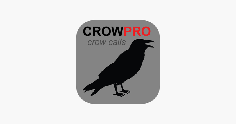 Crow Calls for Hunting Image