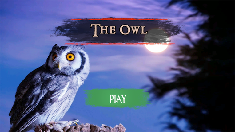 The Owl screenshot