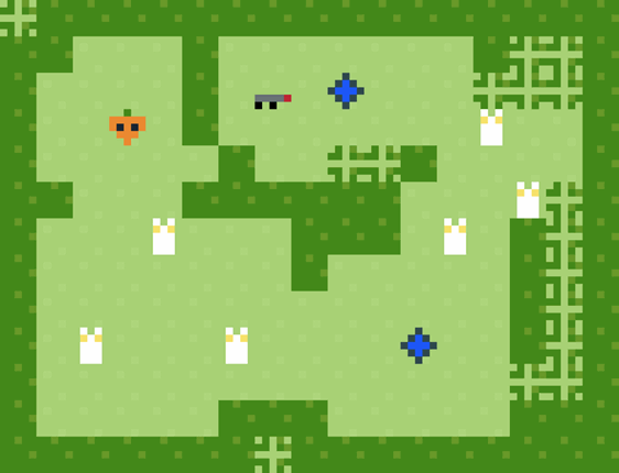 Carrot VS rabbits Image