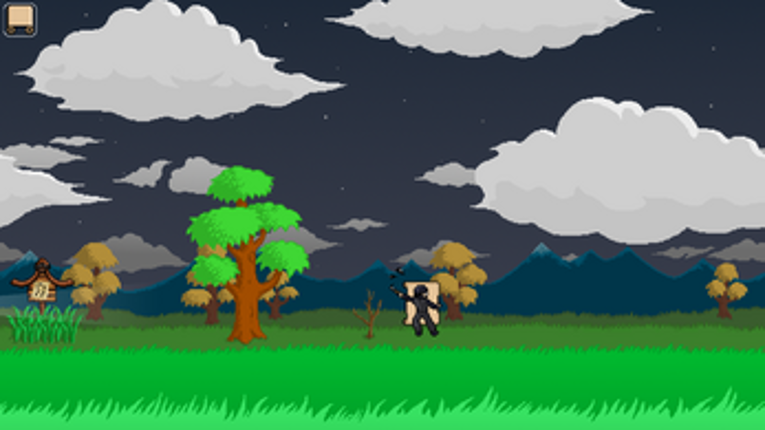 Ninja Under Cover Image