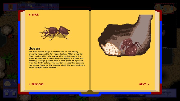 Garden of Ants Image