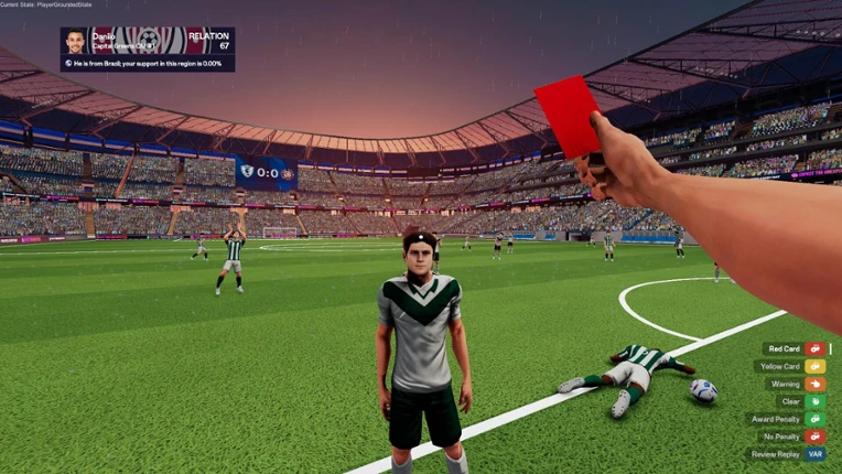 Pro Football Referee Image