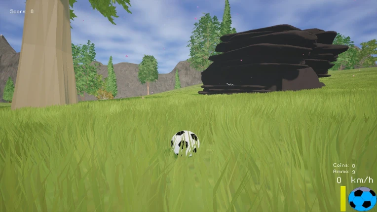Soccer Ball Simulator Image