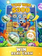 Bingo Clash: Win Real Cash Image