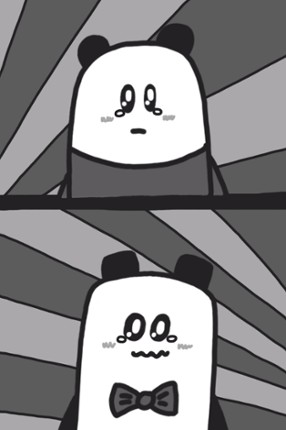 Black White Bear Image