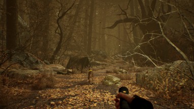 Blair Witch VR Image