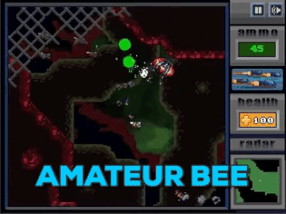 Games like Amateur Bee