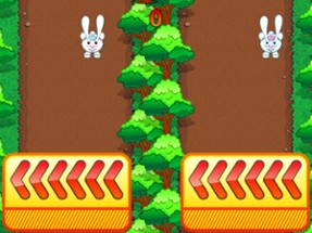 Rabbit Rush Run Image