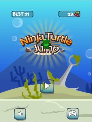 Tiny Ninja Turtles Jump Around Up &amp; Down On Rooftop screenshot