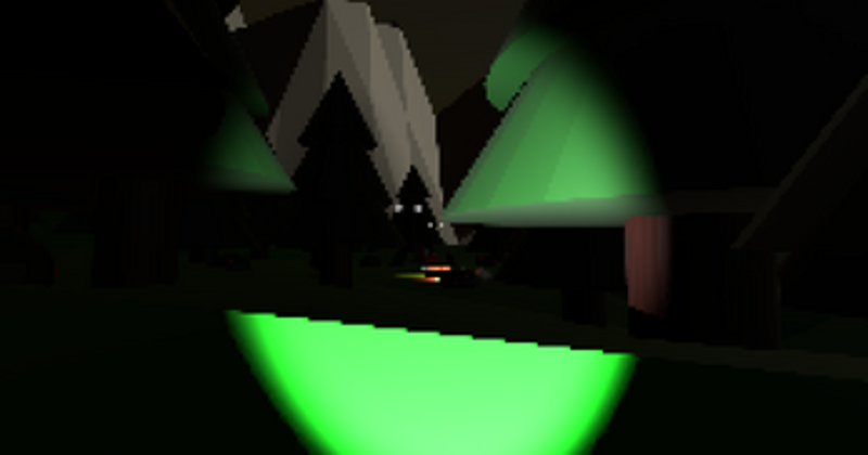 Walk in the Woods Image
