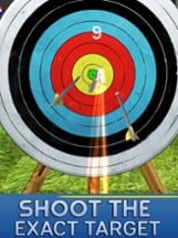 Archery Target Simulation Image