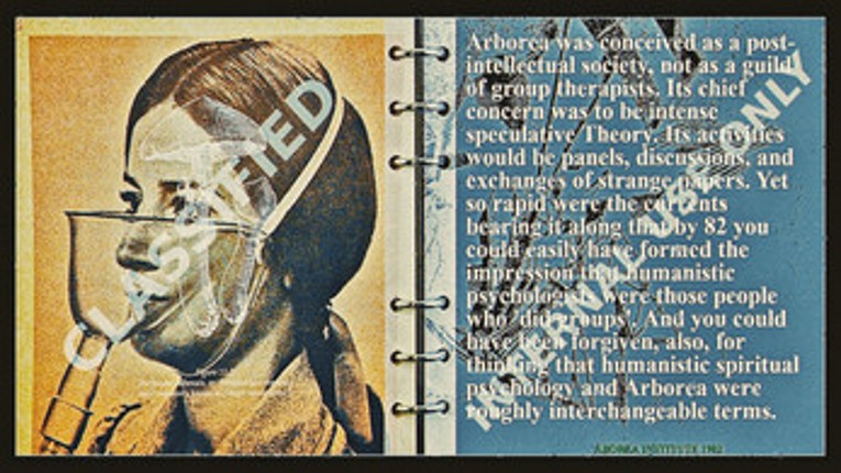 Black Rainbow Arboria Institute Handbook screenshot