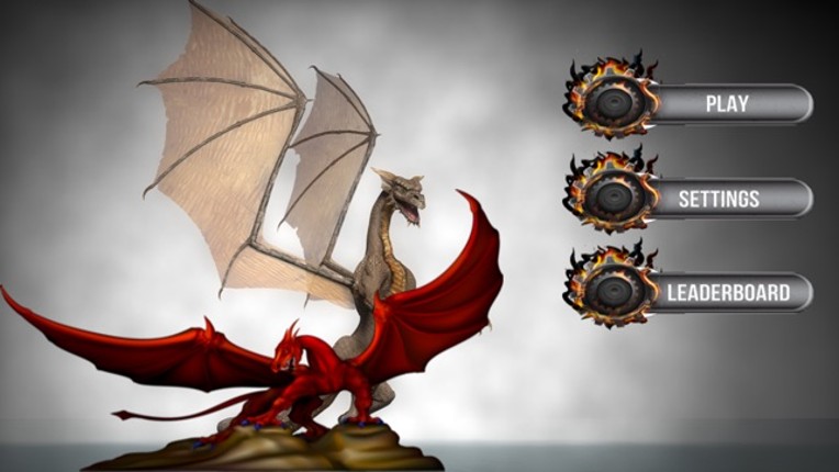 Dragon War Z- A Monster Rider screenshot