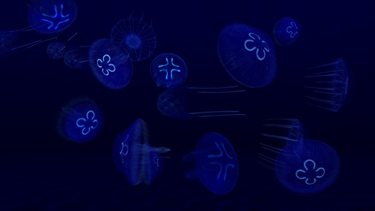 Fish Farm 3 screenshot